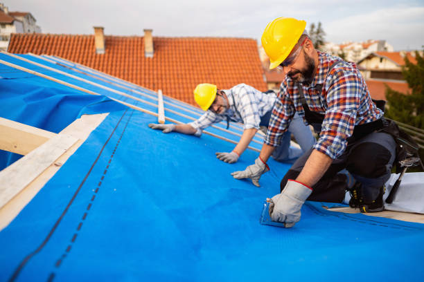 Best Roof Replacement Cost  in Ettrick, VA