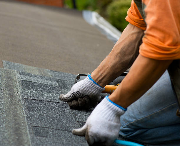 Best Roof Leak Repair  in Ettrick, VA