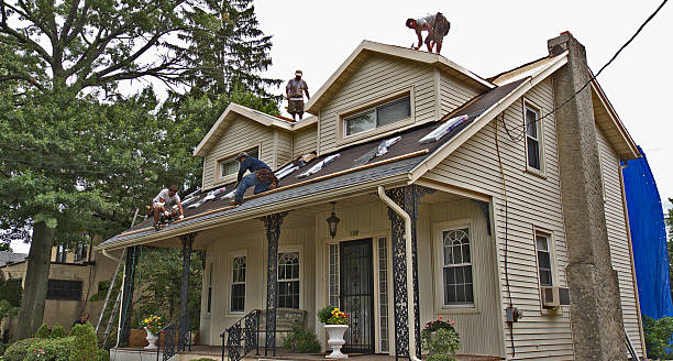 Best New Roof Installation  in Ettrick, VA
