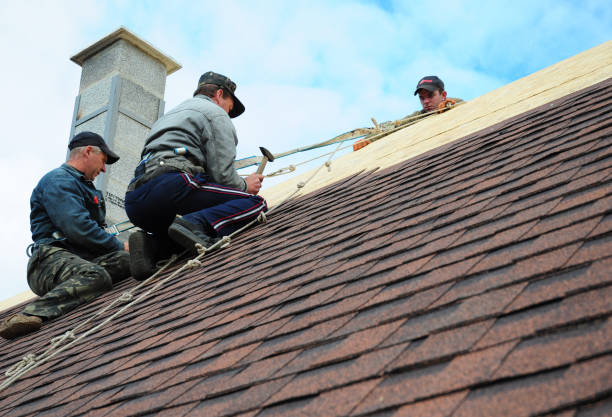 Best Gutter Installation and Roofing  in Ettrick, VA