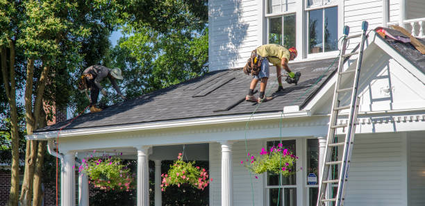 Best Roof Gutter Cleaning  in Ettrick, VA