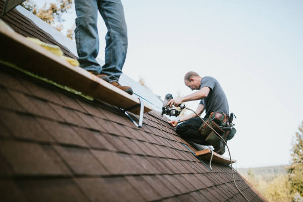 Best Roof Maintenance Services  in Ettrick, VA