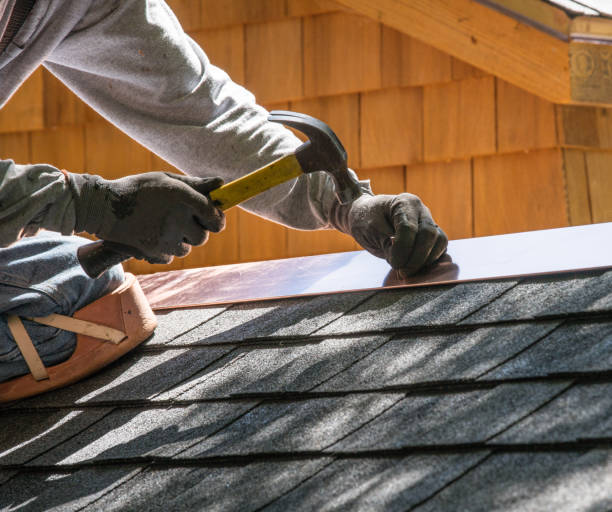 Professional Roofing Contractor in Ettrick, VA